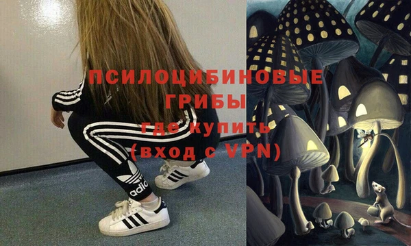 твердый Коряжма