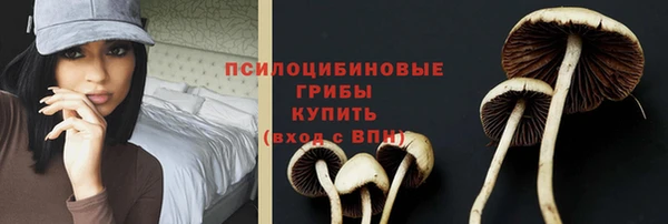 кокс Костерёво