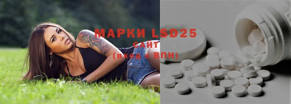 твердый Коряжма