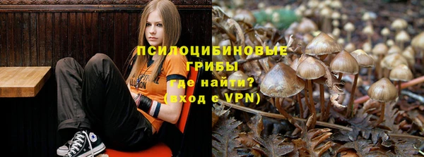 кокс Костерёво