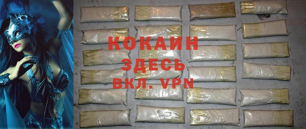 твердый Коряжма