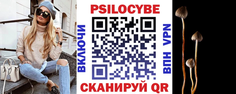 купить наркотики сайты  Жуковка  Галлюциногенные грибы Cubensis 