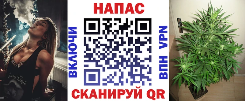 Марихуана Bruce Banner  гидра ССЫЛКА  Жуковка  купить  цена 